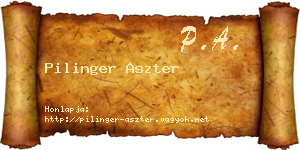 Pilinger Aszter névjegykártya